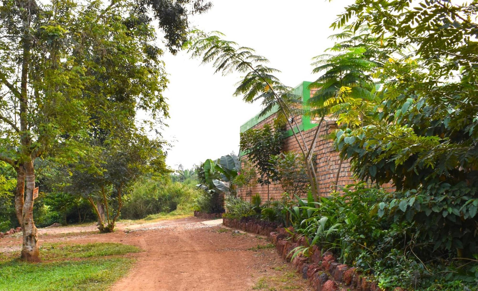 Iziba Lodge Hoima Exterior photo